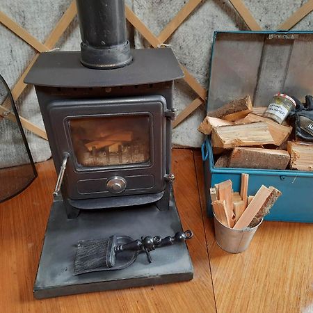 Ceridwen Glamping, Double Decker Bus And Yurts Hotel Llandysul Exterior foto