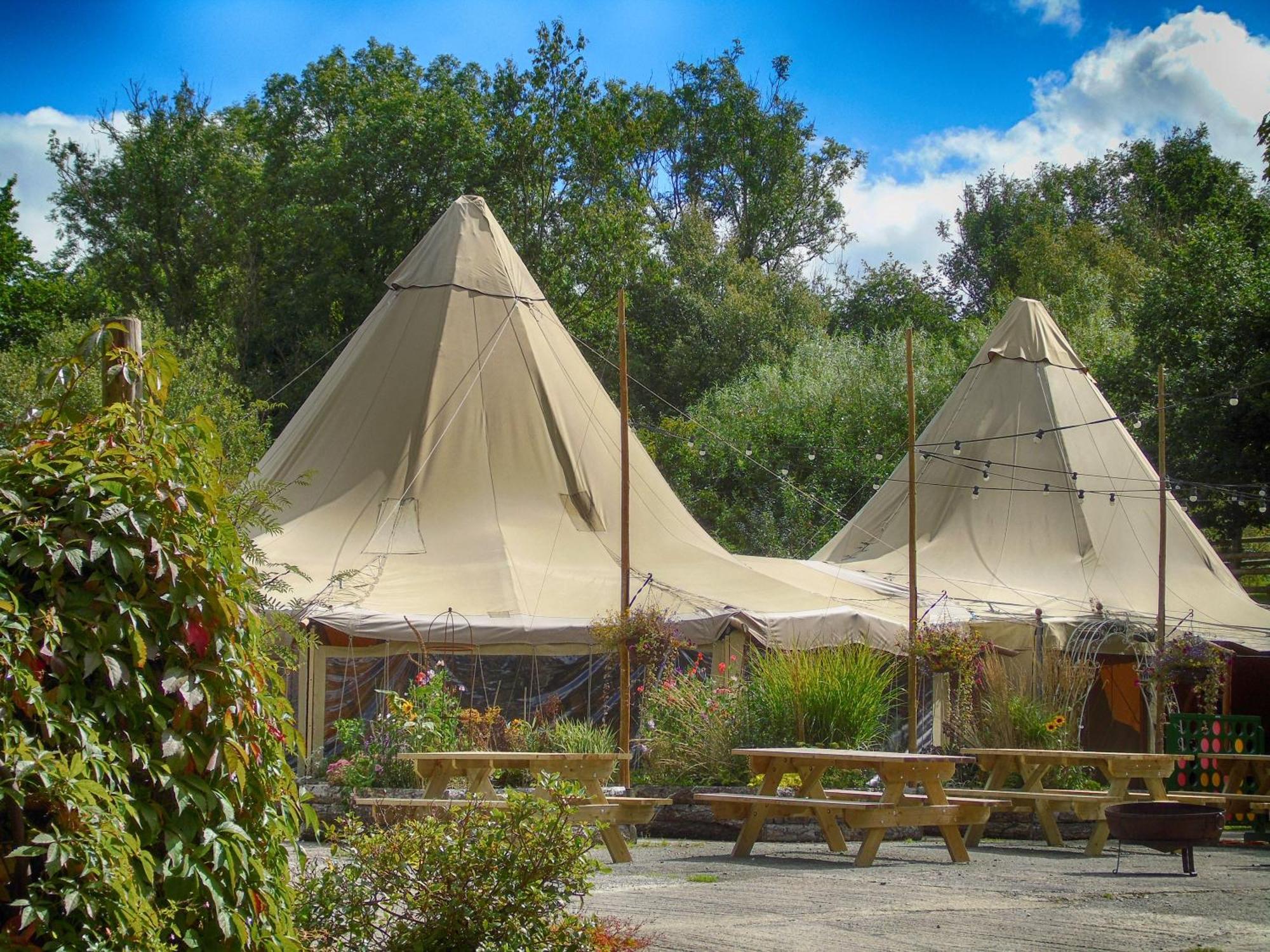 Ceridwen Glamping, Double Decker Bus And Yurts Hotel Llandysul Exterior foto